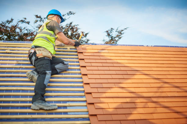 Best Commercial Roofing Services  in Townsend, DE